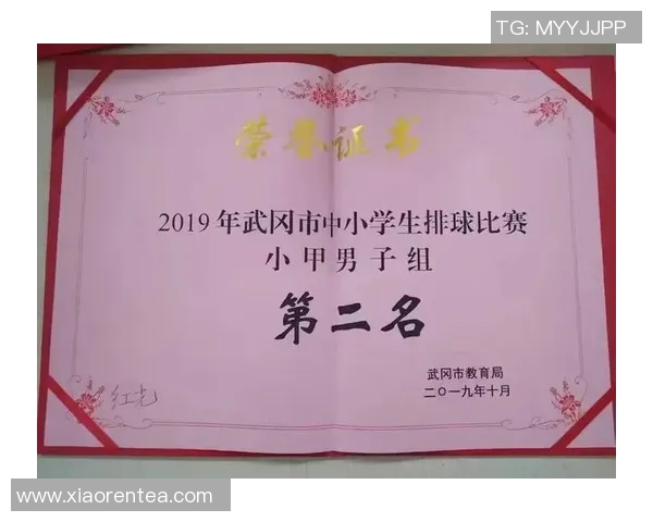 深圳排球队心理素质分析与提升策略探讨