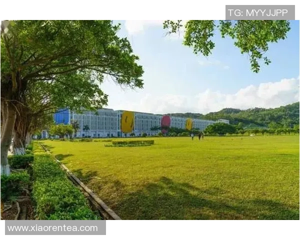深圳羽毛球队勇攀高峰的奋斗故事与世锦赛荣耀之路