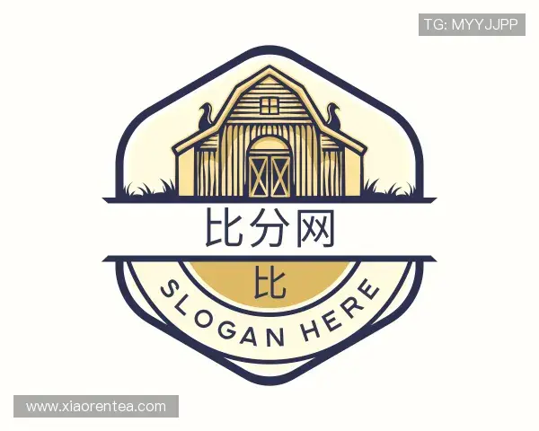 介绍比分网